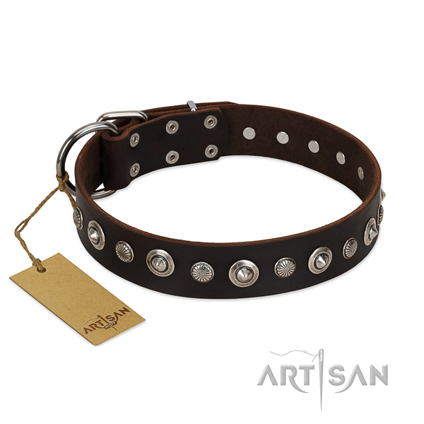Fine quality full grain leather dog collar with impressive decorations