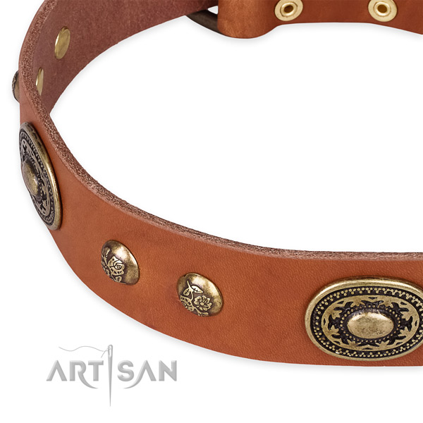 Designer genuine leather collar for your stylish canine