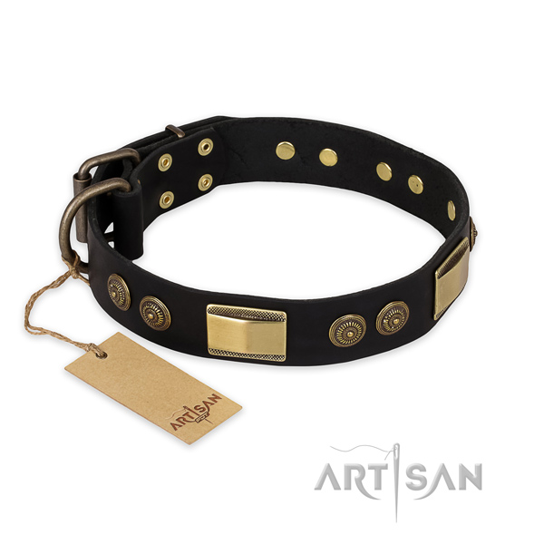 Fine quality full grain leather dog collar for walking