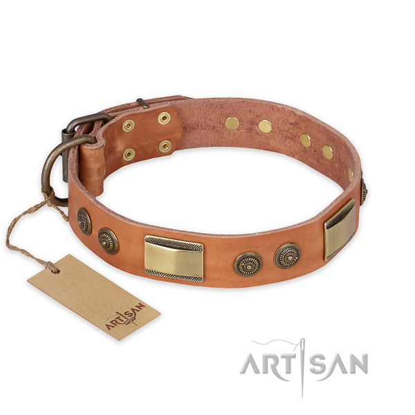 Extraordinary full grain leather dog collar for daily walking