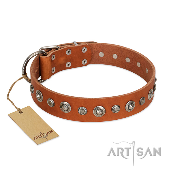 Quality genuine leather dog collar with inimitable adornments