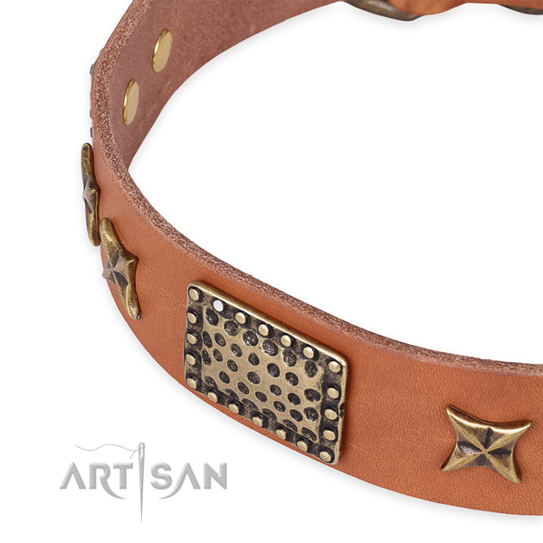 Full grain genuine leather collar with strong fittings for your beautiful dog