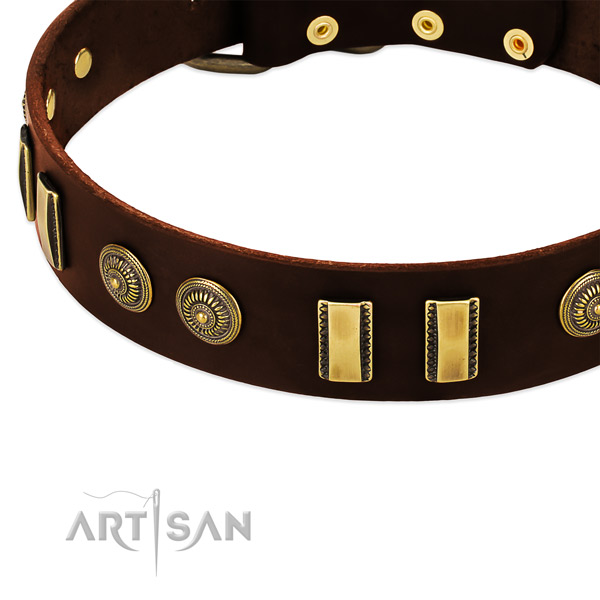 Corrosion resistant embellishments on natural leather dog collar for your dog