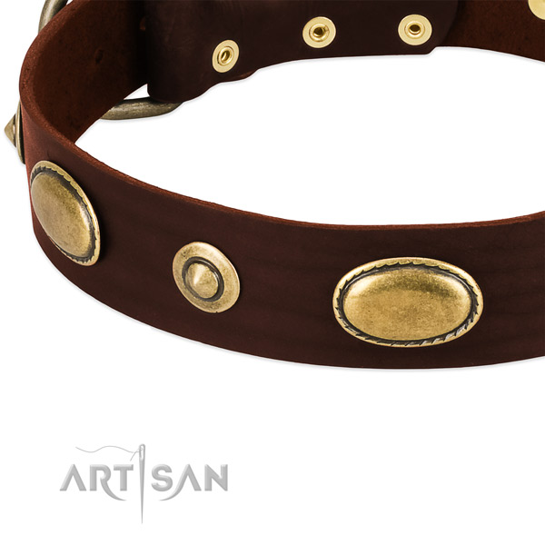 Reliable decorations on full grain natural leather dog collar for your pet