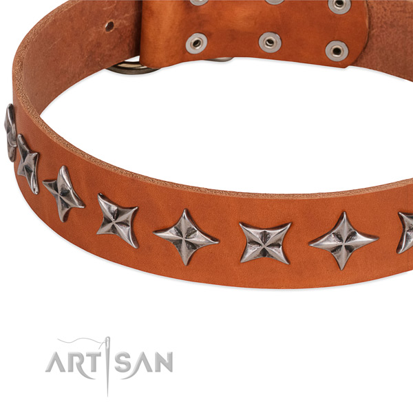 Stylish walking studded dog collar of reliable full grain natural leather