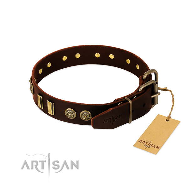 Rust resistant studs on natural leather dog collar for your canine