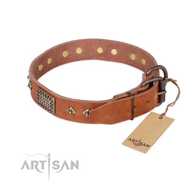 Leather dog collar with strong hardware and studs