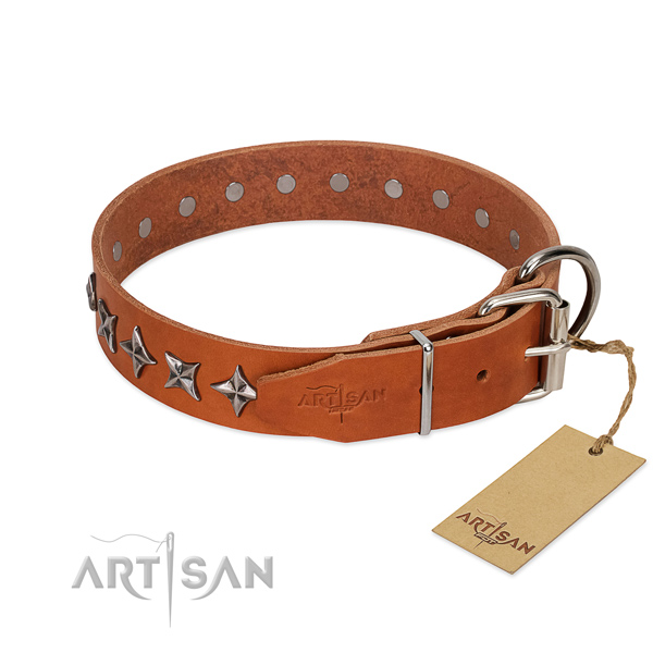 Comfortable wearing adorned dog collar of quality natural leather