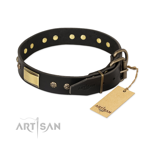 Leather dog collar with rust resistant buckle and embellishments