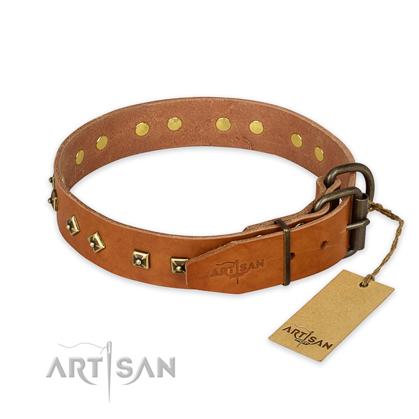 Rust resistant D-ring on natural leather collar for basic training your canine