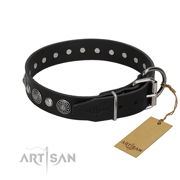 Top quality full grain leather dog collar with unusual adornments