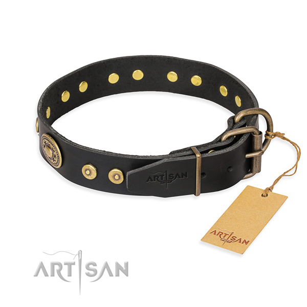 Leather dog collar made of high quality material with rust-proof embellishments