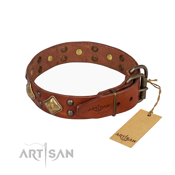 Full grain natural leather dog collar with extraordinary corrosion resistant studs