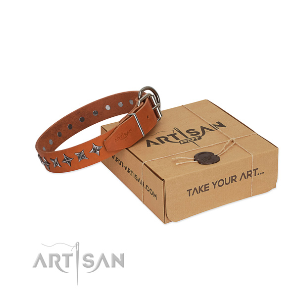 Daily walking dog collar of best quality full grain leather with adornments
