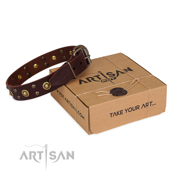 Reliable fittings on full grain genuine leather collar for your lovely dog