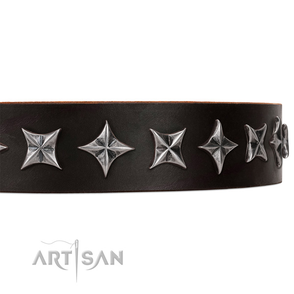 Easy wearing studded dog collar of top notch leather
