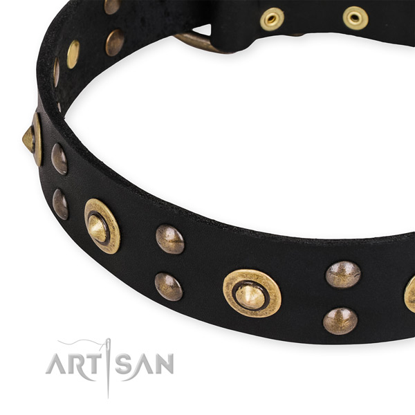Full grain natural leather collar with reliable fittings for your beautiful canine