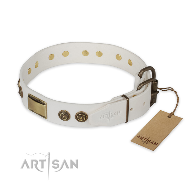 Corrosion proof traditional buckle on full grain natural leather collar for basic training your dog