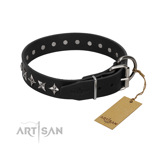 Walking embellished dog collar of fine quality full grain genuine leather