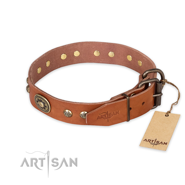 Strong buckle on full grain leather collar for stylish walking your four-legged friend
