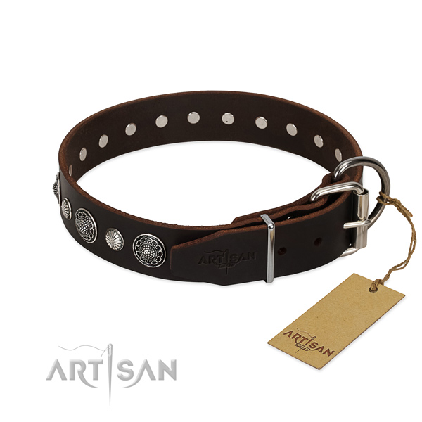 High quality genuine leather dog collar with impressive embellishments