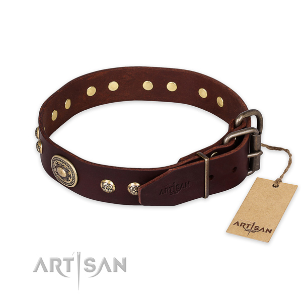 Reliable buckle on leather collar for daily walking your four-legged friend