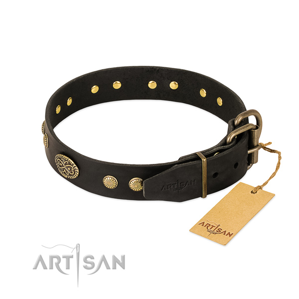 Reliable embellishments on full grain leather dog collar for your doggie