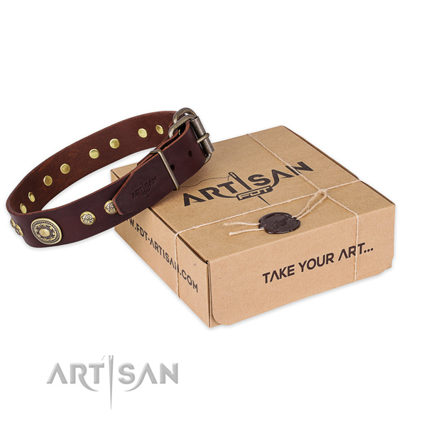 Corrosion proof fittings on full grain natural leather dog collar for comfy wearing