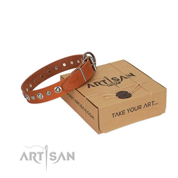 Durable natural leather dog collar with remarkable studs