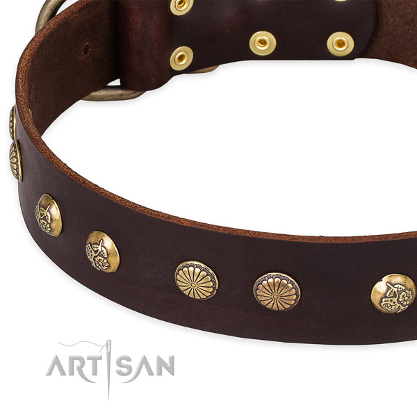 Natural genuine leather collar with reliable hardware for your attractive canine