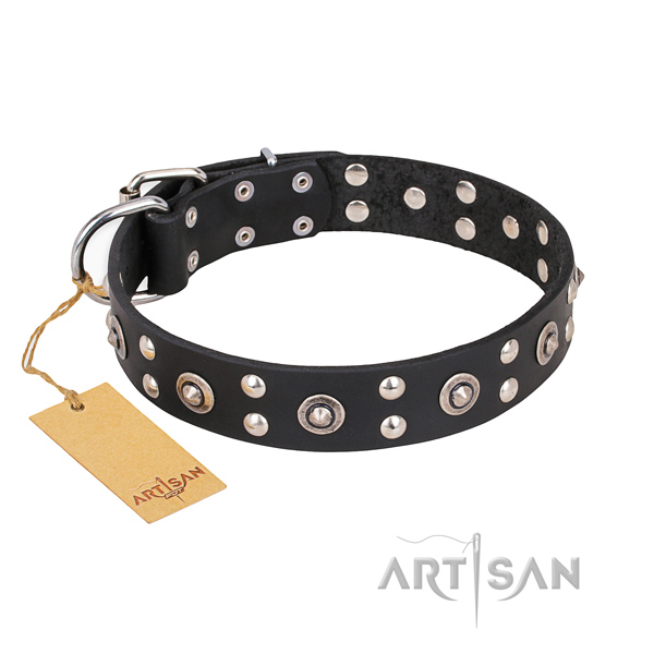 Comfy wearing significant dog collar with corrosion proof buckle