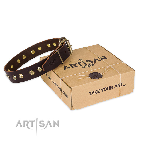 Reliable fittings on leather collar for your beautiful canine
