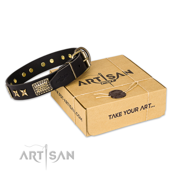Durable traditional buckle on natural genuine leather collar for your attractive four-legged friend