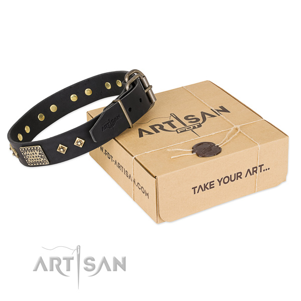 Remarkable leather collar for your attractive four-legged friend