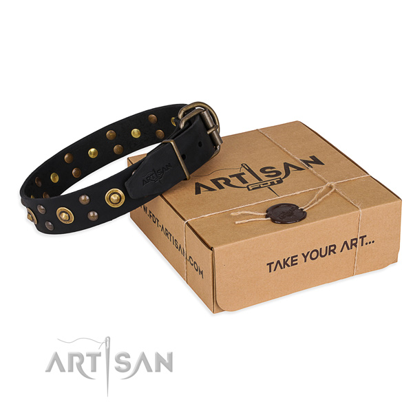 Reliable traditional buckle on genuine leather collar for your handsome four-legged friend