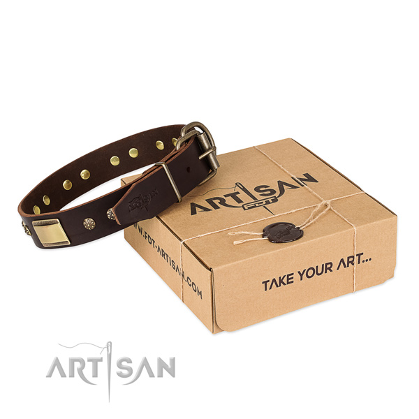 Stylish design full grain genuine leather collar for your beautiful pet