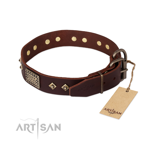 Genuine leather dog collar with corrosion proof traditional buckle and studs