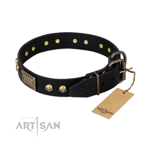 Rust-proof decorations on easy wearing dog collar