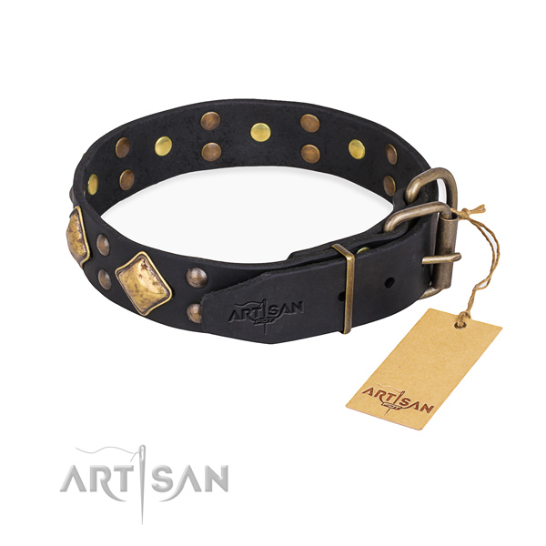 Full grain natural leather dog collar with trendy strong studs