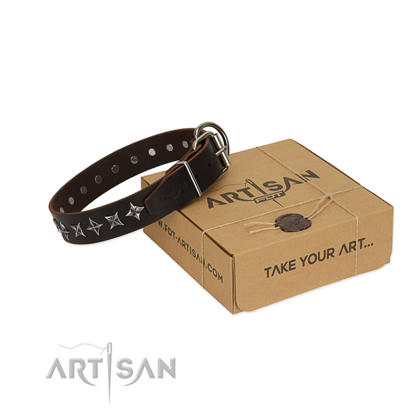 Daily use dog collar of reliable natural leather with adornments