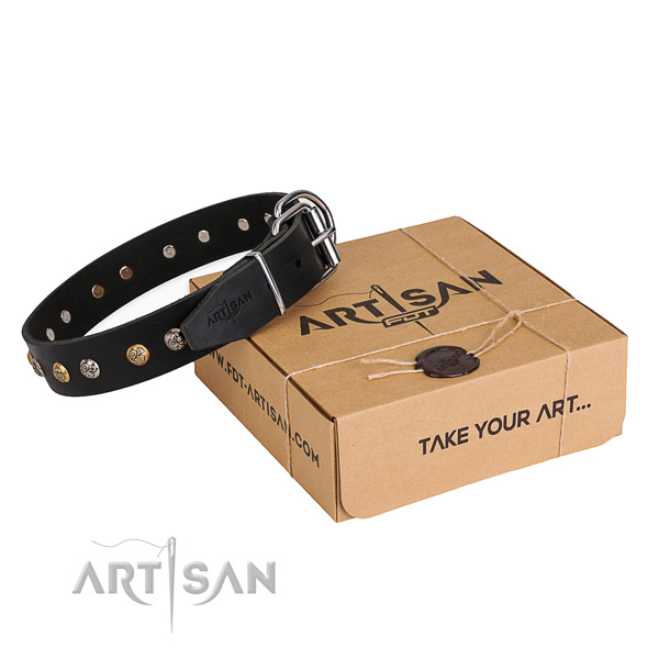 Top rate full grain leather dog collar created for walking