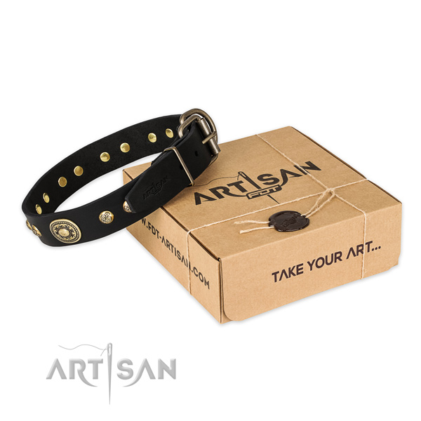 Rust-proof hardware on leather dog collar for comfortable wearing