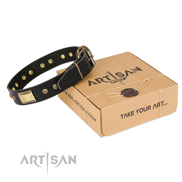Decorated full grain natural leather collar for your handsome canine