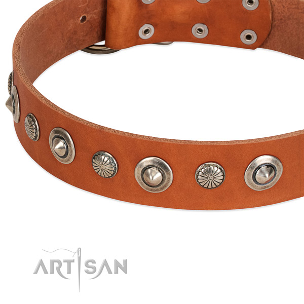 Incredible embellished dog collar of strong full grain genuine leather