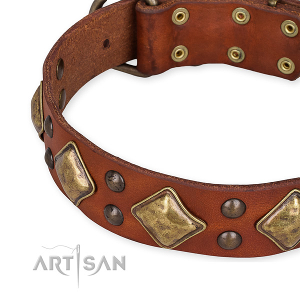Leather collar with corrosion resistant buckle for your beautiful canine