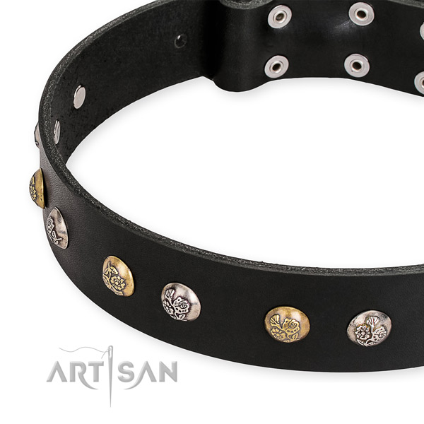 Natural genuine leather dog collar with fashionable rust-proof adornments