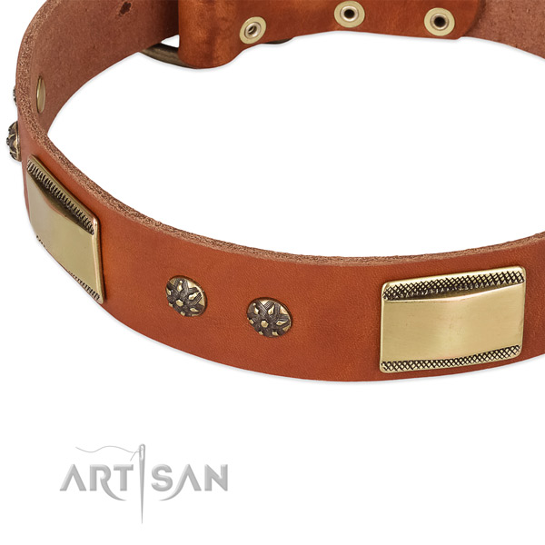 Strong embellishments on full grain leather dog collar for your four-legged friend