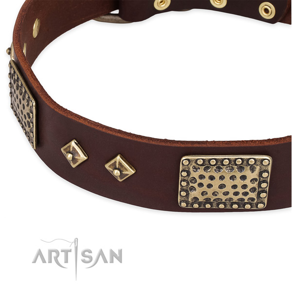 Durable decorations on full grain leather dog collar for your canine
