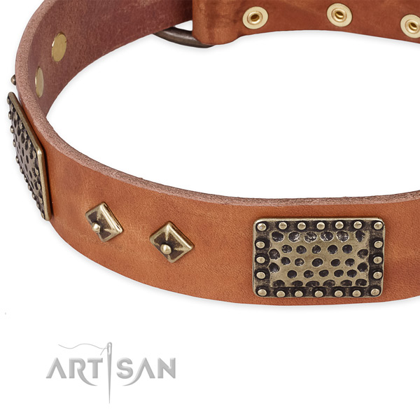 Durable fittings on full grain genuine leather dog collar for your canine