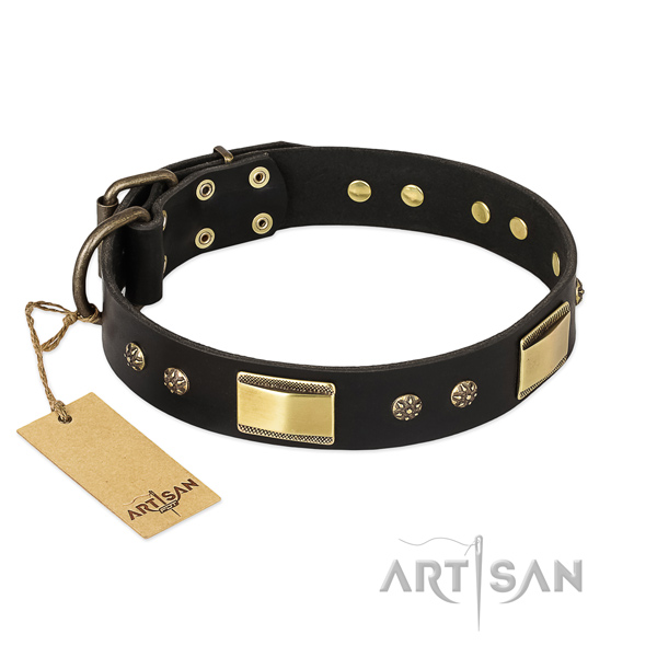 Unusual full grain leather collar for your dog
